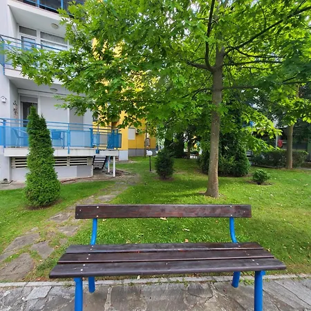 бриджит *