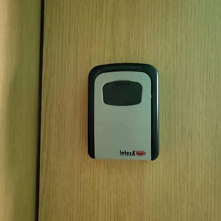 бриджит * 阳光海滩