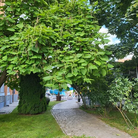 бриджит 公寓 *